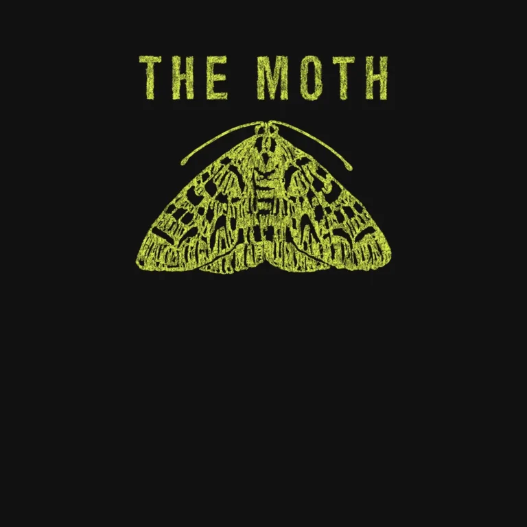 the moth podcast art