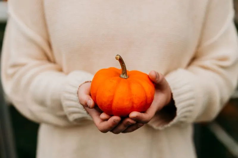 person holding small pumpkin