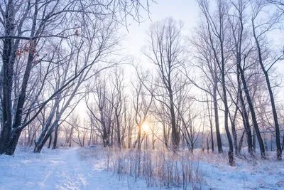 winter scene