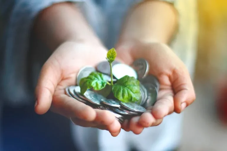 person holding coins with plant growing out