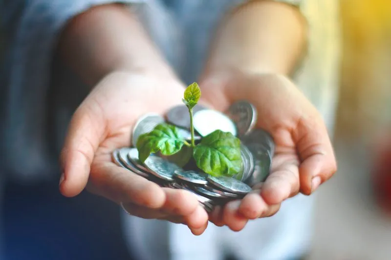 person holding coins with plant growing out