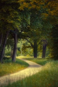 winding path in and out of trees