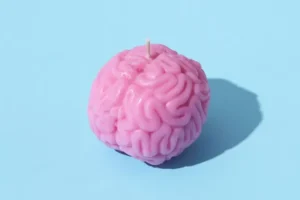 brain model