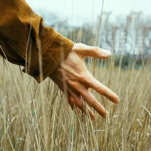 person with hand outstretched touching long grass in field