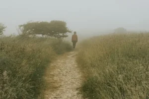person walking alone in mist