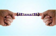 Chinese Finger Traps 